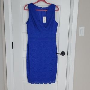 Sangria Banded Lace Dress Blue